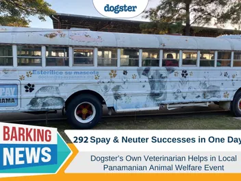 292 Neutering and Spay Successes in One Day: Dogster's Dr. Paola Volunteers in Panama