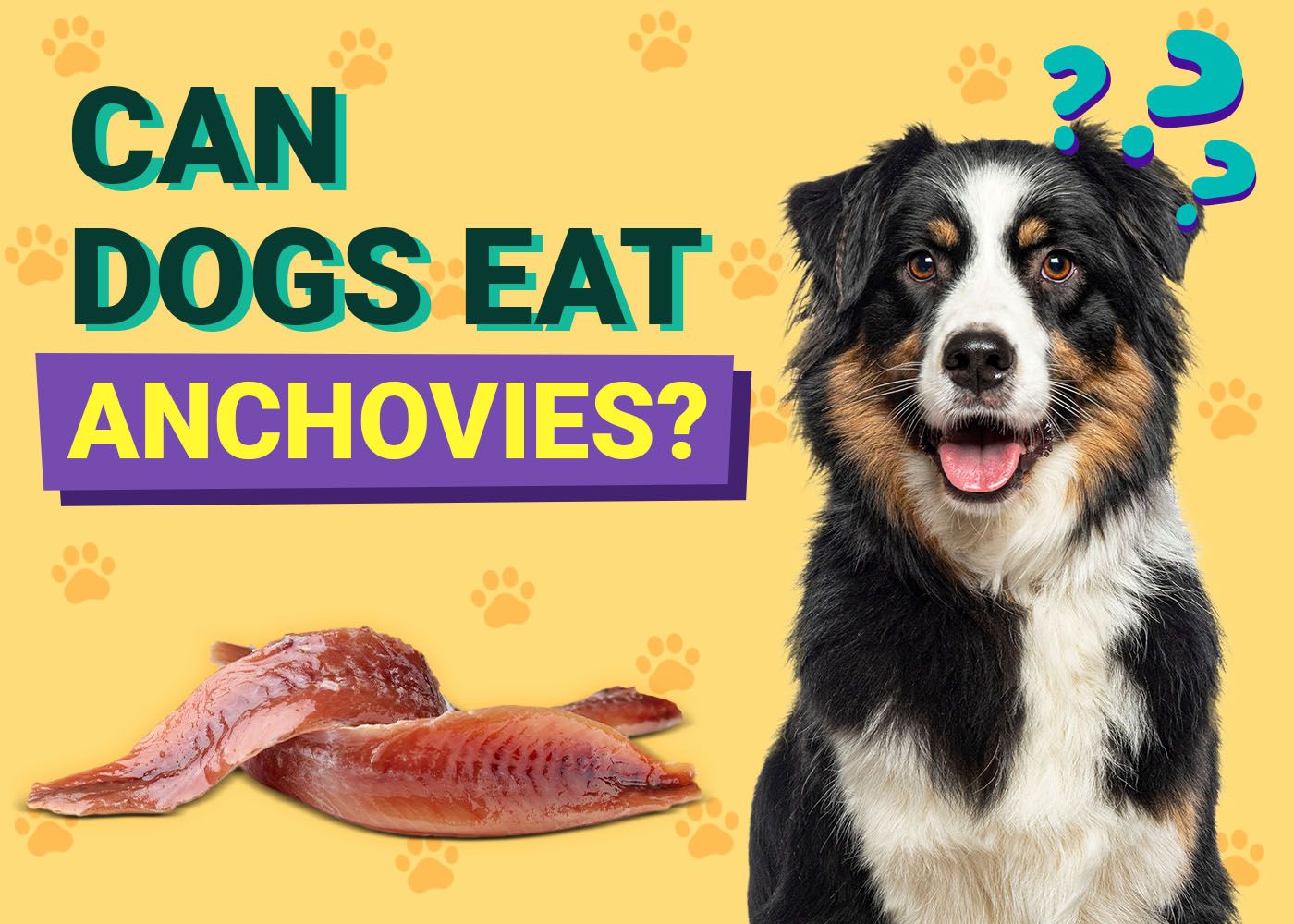 Can Dogs Eat Anchovies