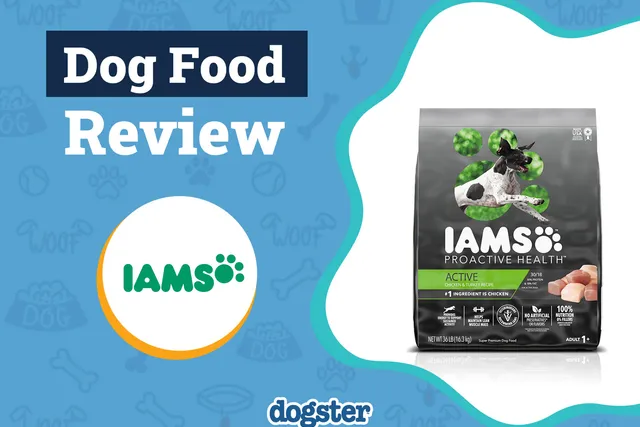 Iams Dog Food Review 2026: Pros, Cons, Recalls & FAQ