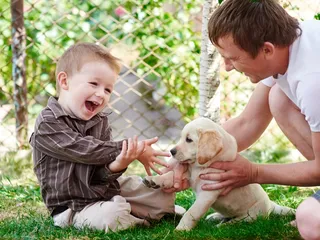 Puppies & Toddlers: Vet-Approved Tips for Navigating Life With Both
