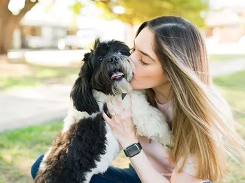 Does a Shih Tzu Like to Cuddle? Vet-Verified Breed Facts & FAQ