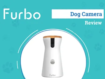 Furbo 360° Dog Camera Review 2026: Our Expert’s Opinion
