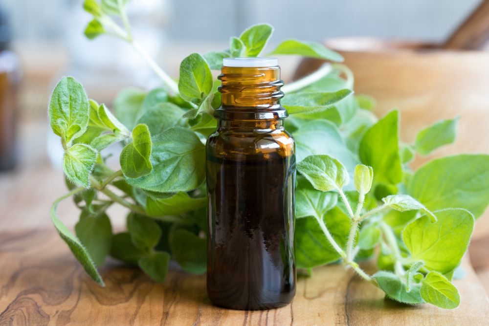 oregano-oil-on-the-table