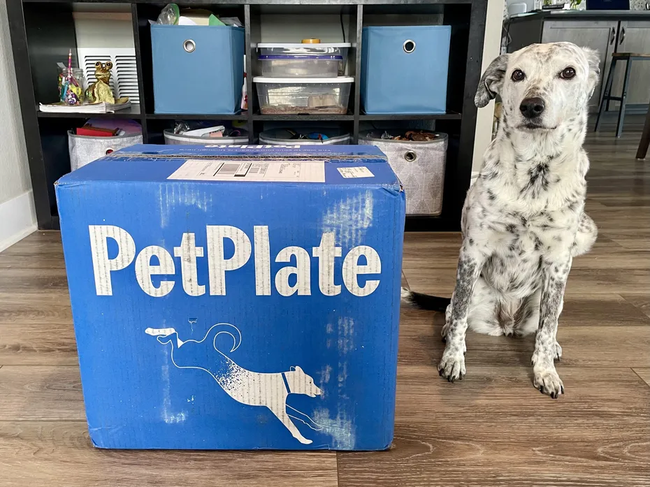 PetPlate 9