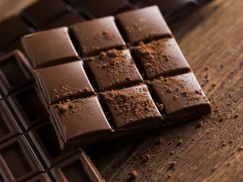 Long Term Effects of Dogs Eating Chocolate: Our Vet Discusses Concerns