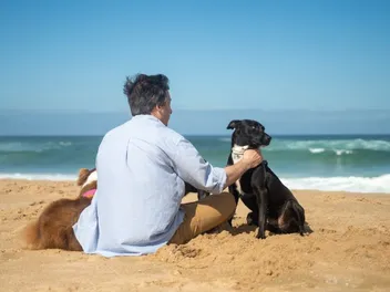 10 Dog-Friendly Beaches in Maryland to Visit in 2026