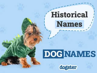 70 Historical Dog Names Inspired by Ancient Figures
