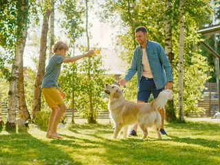 11 Backyard Games for Dogs to Play When the Weather Is Nice