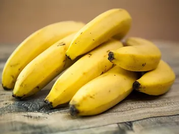 Are Bananas Good for a Dog With Pancreatitis? Vet Approved Facts & FAQ