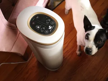 Homedics Air Purifier Review for Dog Odor in 2026: Pros, Cons, Verdict