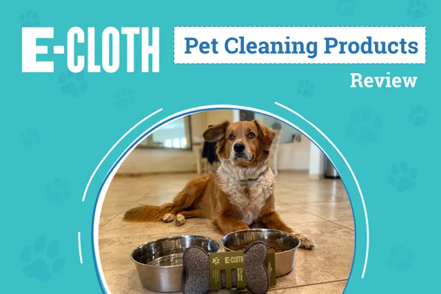E-Cloth Cleaning Product Review 2026: An Expert's Breakdown