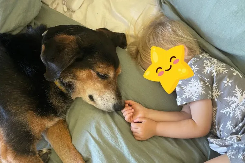 Nap time!