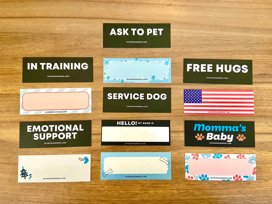Joyride Summer Mesh Harness Review - name tags