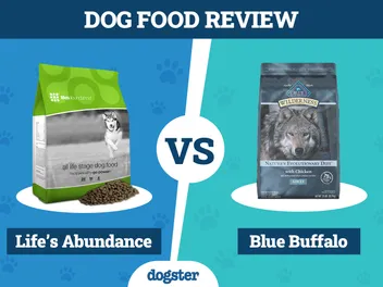 Life's Abundance Dog Food vs. Blue Buffalo 2026: Pros, Cons & What to Choose