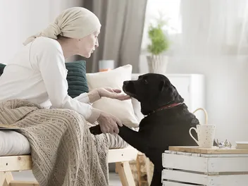 Hospice Therapy Dogs: Vet-Reviewed Benefits for Patients
