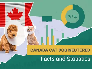 10 Surprising Canada Cat & Dog Neutering Statistics to Know in 2026