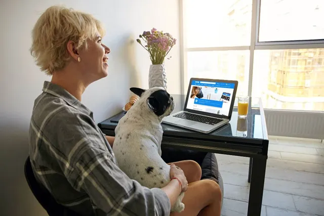 How to Find an Affordable Vet? 11 Vet-Approved Tips