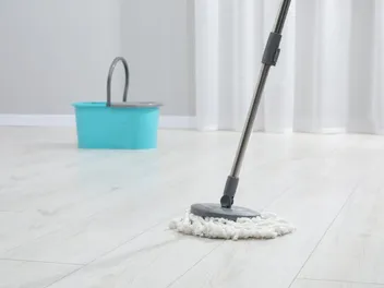How to Clean Up Dog Diarrhea in 6 Simple Steps (Vet-Reviewed)