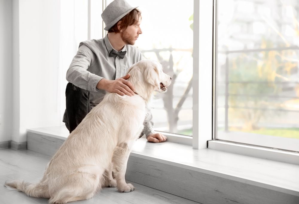 young man with his pet dog looking out the window