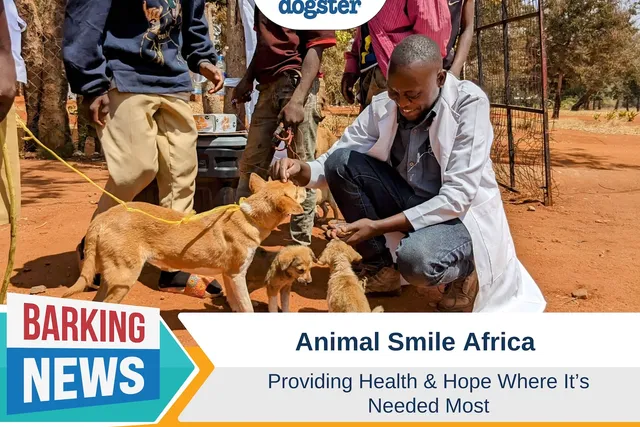 Animal Smile Africa: Providing Health and Hope Where It’s Needed Most