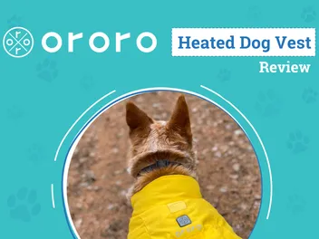 ororo Koldpwoof Heated Dog Vest Review 2026: How To Keep Warm On Every Dogventure