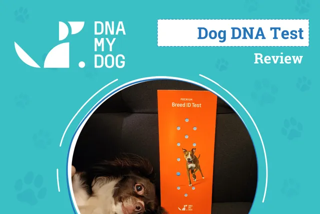 DNA My Dog Breed ID Test Review 2026: An Expert's Breakdown
