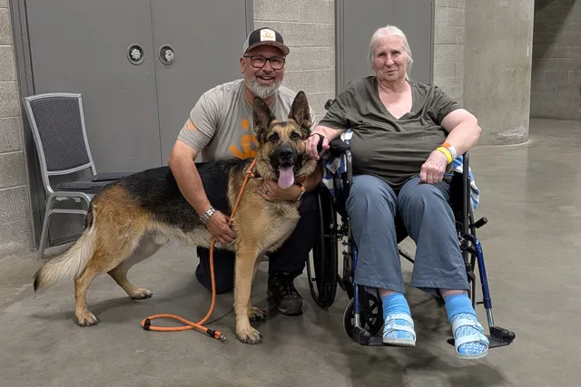 Wildfire Hero: How This German Shepherd Saved Lives