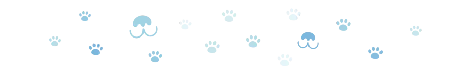 divider dog paws 4 oct 2024