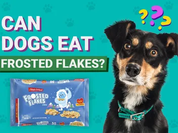 Can Dogs Eat Frosted Flakes? Vet-Verified Facts & Nutrition Guide