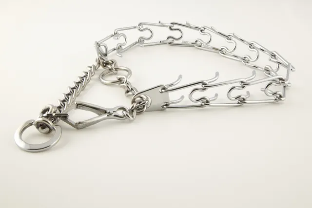 Are Prong Collars Humane? Vet-Verified Safety Facts