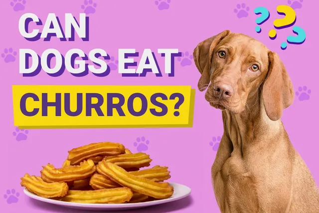 Can Dogs Eat Churros? Vet-Reviewed Facts & FAQ