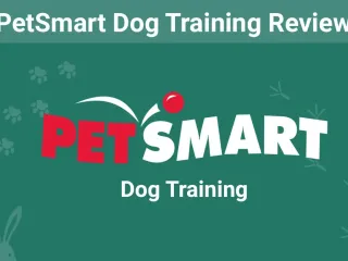 PetSmart Dog Training Review 2026: Costs, Effectiveness, and FAQs