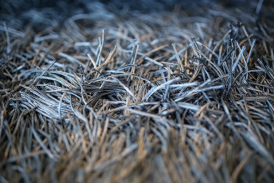 Silver Carpet