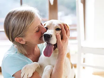 16 Best Dog Breeds for Seniors & the Elderly (With Info & Pictures)