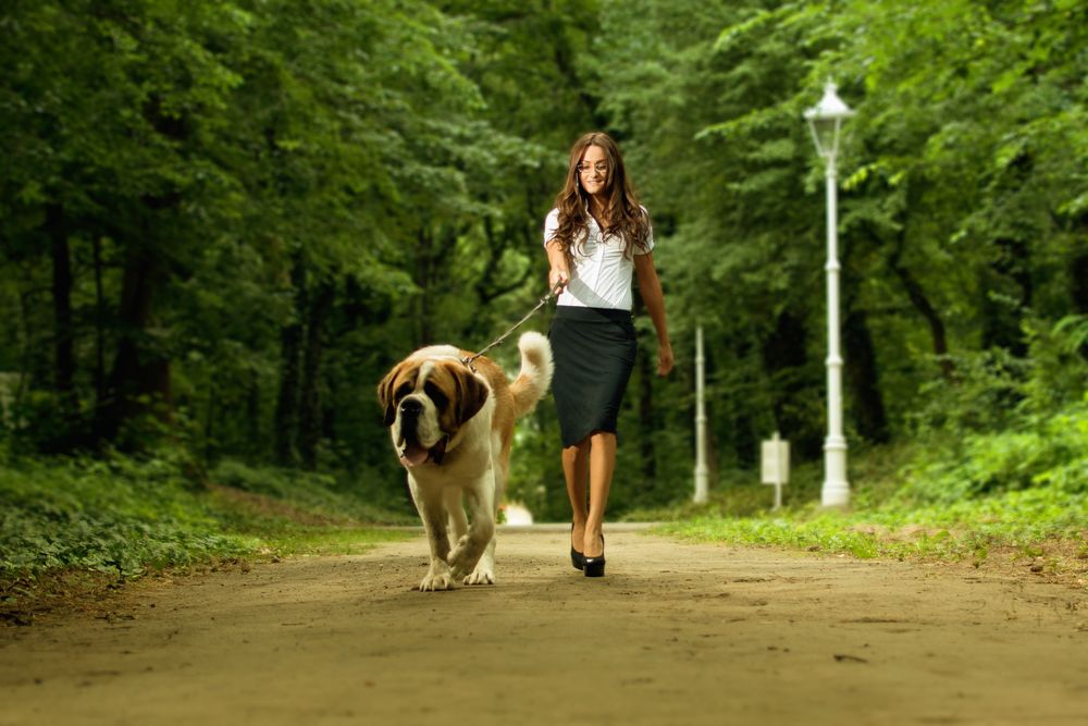 Elegant woman walking her big dog
