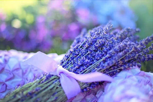 Will Lavender Calm My Dog? Vet-Reviewed Risks & FAQ
