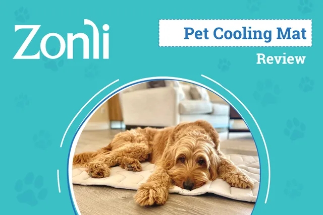 Zonli Pet Cooling Mat Review 2026: An Expert's Breakdown