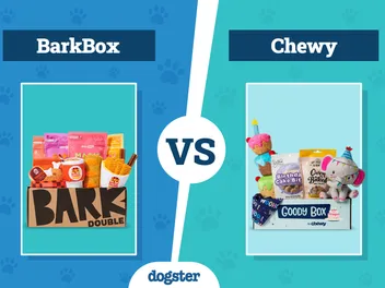 BarkBox vs Chewy Dog Subscription Box: Complete Comparison 2026 Update