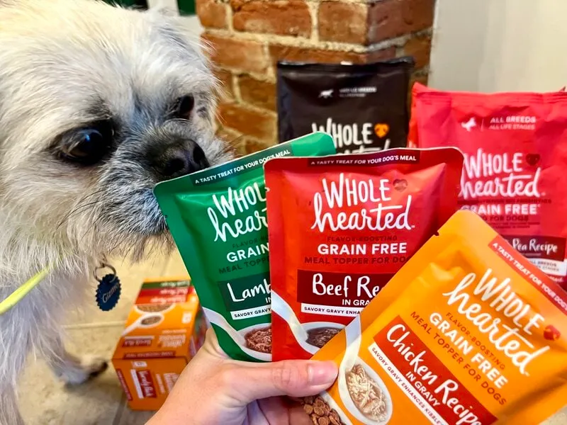 wholehearted line with Gizmo