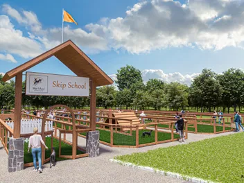 Redesigning Dog Parks: A New Way for Pups to Play