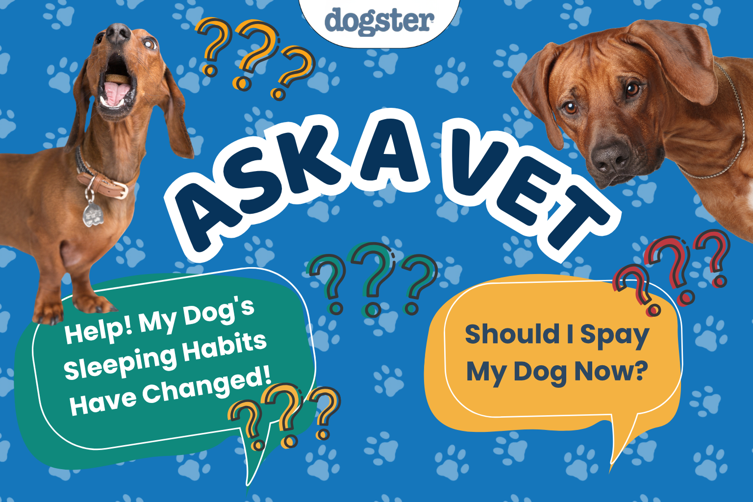 Ask Dr. Paola - Help! My Dog's Sleeping Habits Have Changed! (May 18, 2026)
