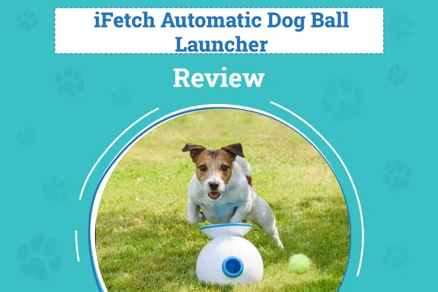iFetch Automatic Dog Ball Launcher Review 2026: Pros, Cons & Verdict