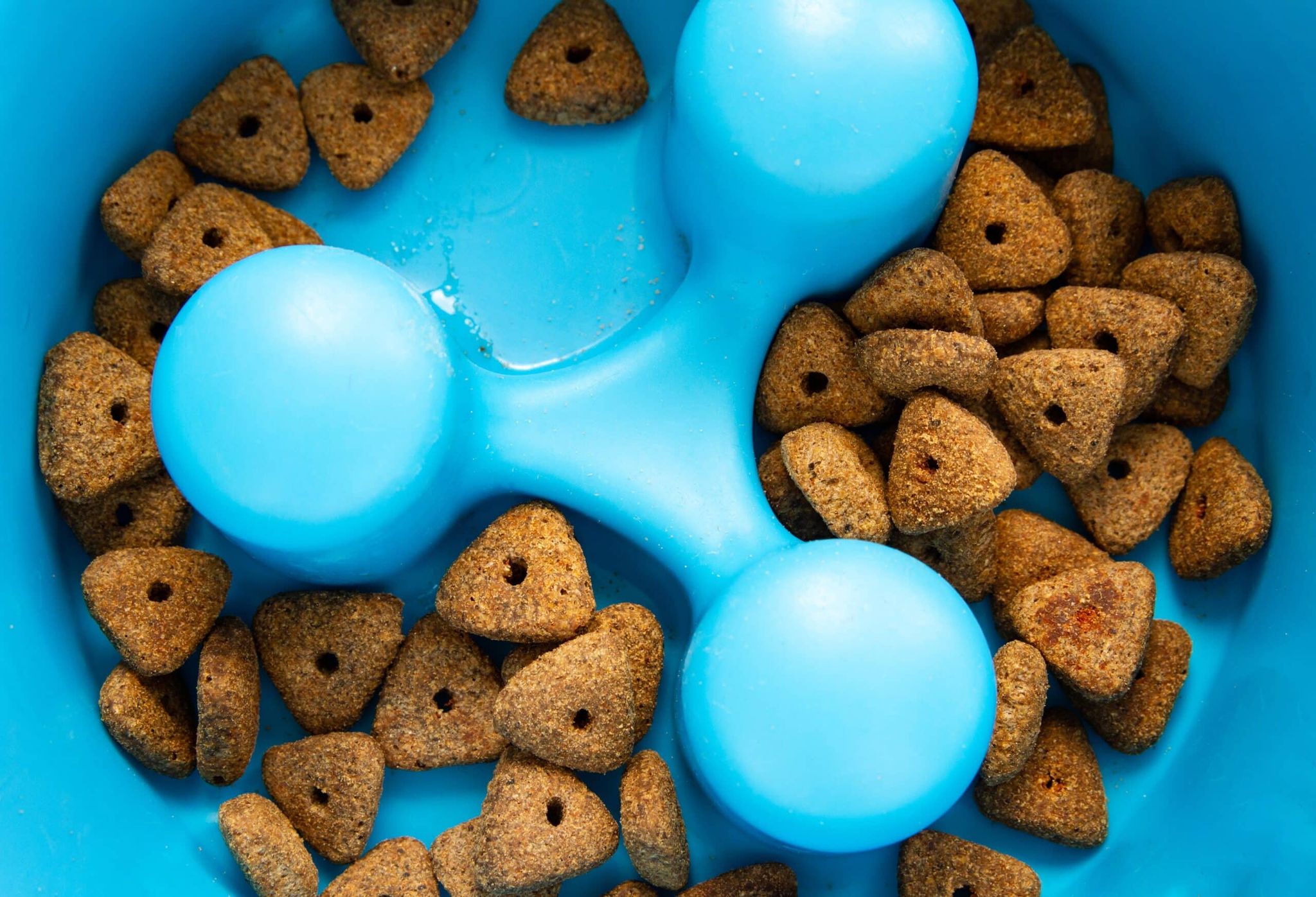 Slow Feeder Dog Bowls: Vet-Explained Benefits & Risks