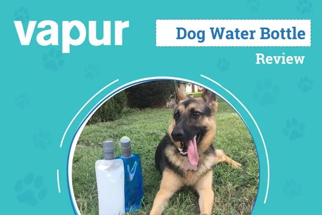 Vapur EZ Lick Dog Water Bottle Review 2026: An Expert's Breakdown