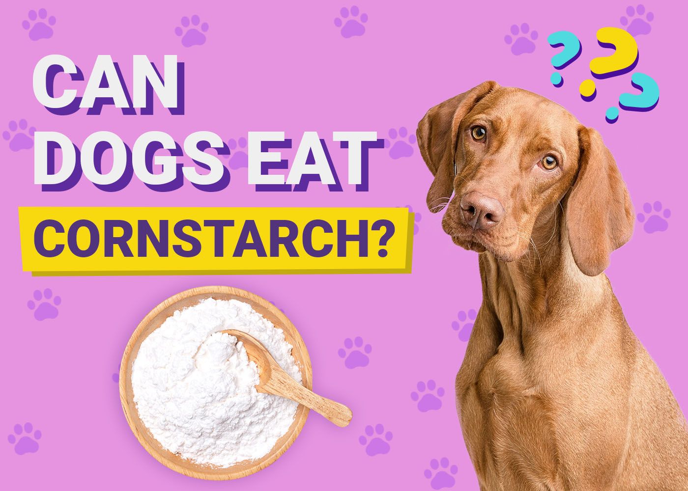 Can Dogs Eat Cornstarch