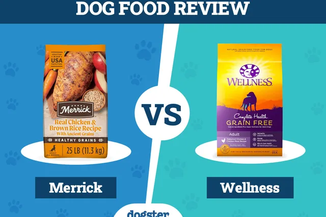 Merrick vs. Wellness Dog Food: Our 2026 In-Depth Comparison