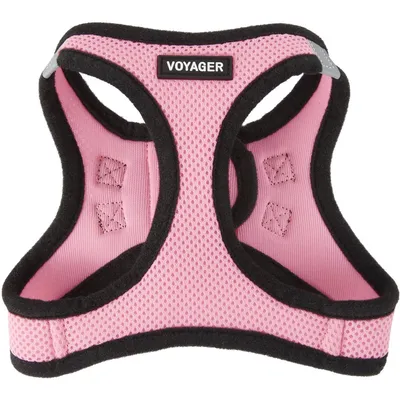 Best Pet Supplies Voyager