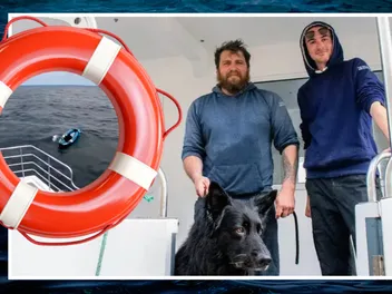 German Shepherd Rescued After Kayak Blows Out to Sea