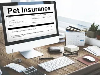 Does Pet Insurance Cover Cruciate Surgery? Standard Policies & FAQ