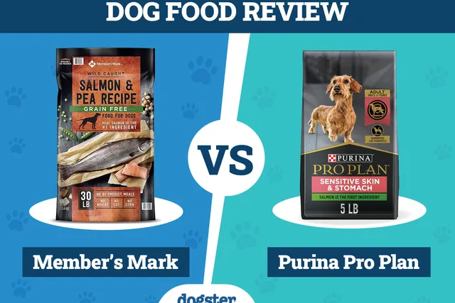 Member’s Mark vs. Purina Pro Plan Dog Food - 2026 Comparison, Pros & Cons